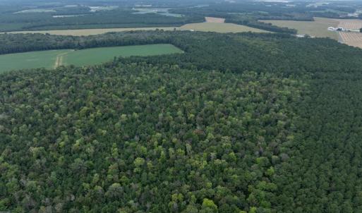 Photo #25 of NONE, NEW CHURCH, VA 151.9 acres