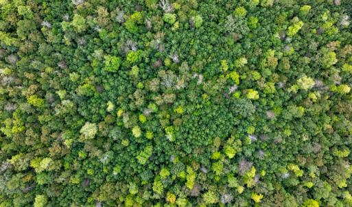 Photo #26 of NONE, NEW CHURCH, VA 151.9 acres