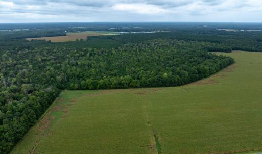 Photo #5 of NONE, NEW CHURCH, VA 151.9 acres