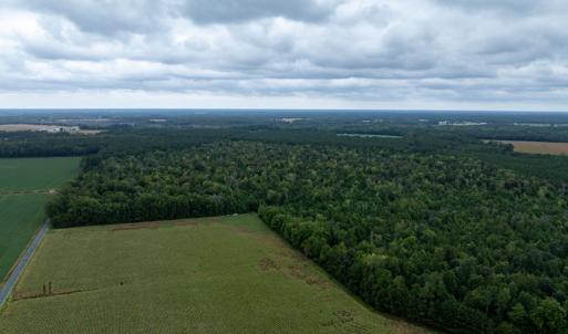 Photo #7 of NONE, NEW CHURCH, VA 151.9 acres
