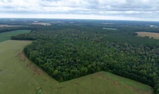 Photo #8 of NONE, NEW CHURCH, VA 151.9 acres