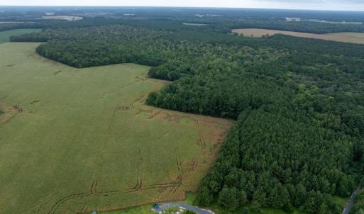 Photo #9 of NONE, NEW CHURCH, VA 151.9 acres
