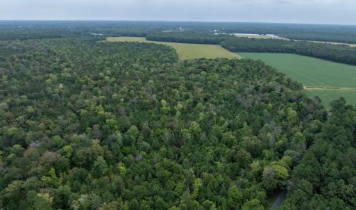 Photo #17 of NONE, NEW CHURCH, VA 151.9 acres