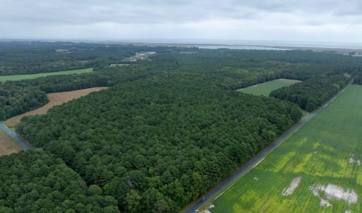 Photo #3 of WHITES NECK RD, PARKSLEY, VA 100.1 acres