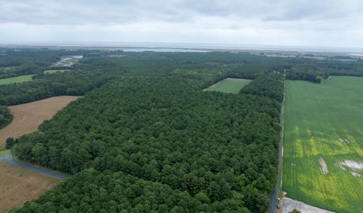 Photo #4 of WHITES NECK RD, PARKSLEY, VA 100.1 acres