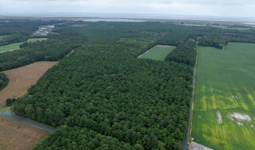 Photo #5 of WHITES NECK RD, PARKSLEY, VA 100.1 acres