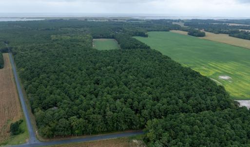 Photo #6 of WHITES NECK RD, PARKSLEY, VA 100.1 acres