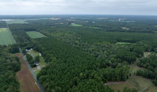 Photo #8 of WHITES NECK RD, PARKSLEY, VA 100.1 acres