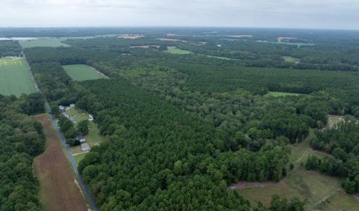 Photo #9 of WHITES NECK RD, PARKSLEY, VA 100.1 acres
