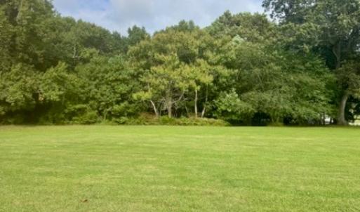 Photo #2 of ATLANTIC RD, ASSAWOMAN, VA 3.1 acres