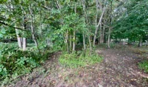 Photo #6 of ATLANTIC RD, ASSAWOMAN, VA 3.1 acres