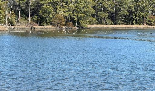 Photo #8 of Lot B HOLLY BLUFF DRIVE, FRANKTOWN, VA 2.7 acres