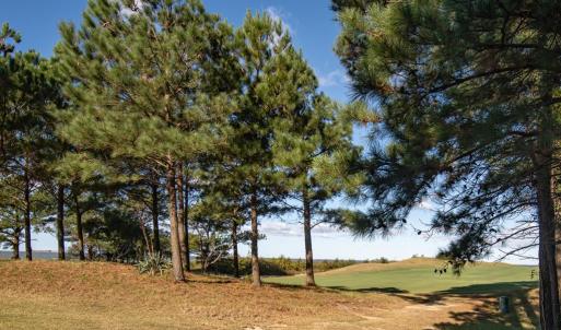 Photo #12 of 111 ABERDEEN WAY, CAPE CHARLES, VA 0.3 acres