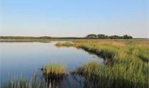 Nature Preserve waterways