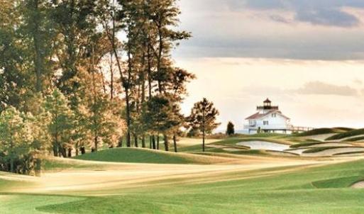Palmer #1