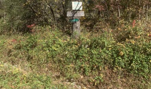 Photo #3 of TBD NAKED CREEK RD, ELKTON, VA 120.0 acres