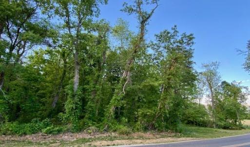 Photo #3 of TBD HOWARDSVILLE TPKE, STUARTS DRAFT, VA 2.5 acres