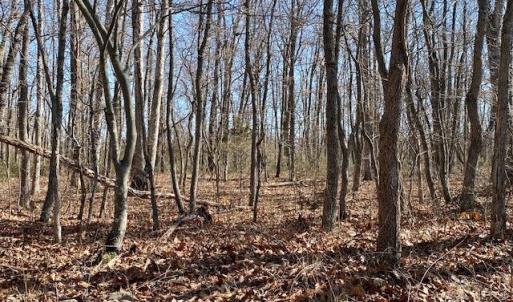 Photo #7 of TBD HOWARDSVILLE TPKE, STUARTS DRAFT, VA 2.5 acres