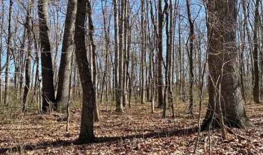 Photo #6 of TBD HOWARDSVILLE TPKE, STUARTS DRAFT, VA 2.5 acres