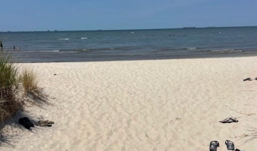 Photo #4 of 503 BRASS RING AVENUE, CAPE CHARLES, VA 3,357.0 acres