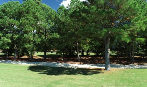 Photo #6 of 211 BLUE HEAVEN RD, CAPE CHARLES, VA 0.2 acres