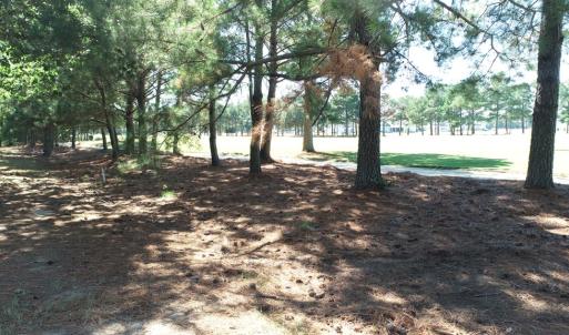 Photo #10 of 211 BLUE HEAVEN RD, CAPE CHARLES, VA 0.2 acres