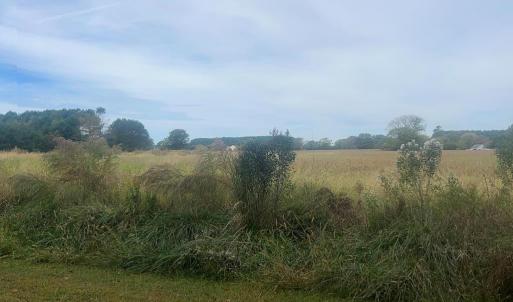 Photo #15 of - SEASIDE CIRCLE, PARKSLEY, VA 3.2 acres