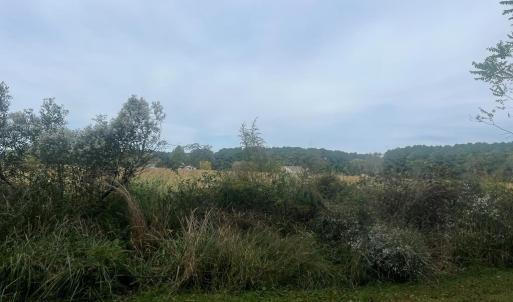 Photo #16 of - SEASIDE CIRCLE, PARKSLEY, VA 3.2 acres