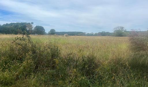 Photo #2 of - SEASIDE CIRCLE, PARKSLEY, VA 3.2 acres