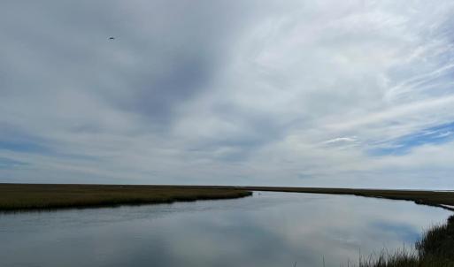 Photo #23 of - SEASIDE CIRCLE, PARKSLEY, VA 3.2 acres