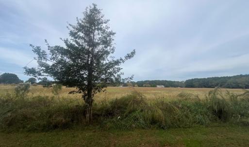 Photo #4 of - SEASIDE CIRCLE, PARKSLEY, VA 3.2 acres
