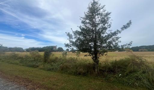 Photo #5 of - SEASIDE CIRCLE, PARKSLEY, VA 3.2 acres