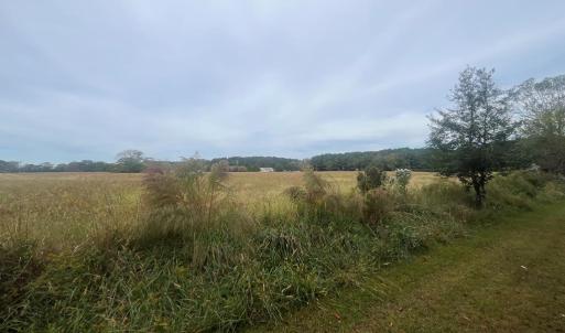 Photo #8 of - SEASIDE CIRCLE, PARKSLEY, VA 3.2 acres
