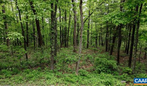 Photo #34 of 7 & 23 WOLFTRAP LN, WINTERGREEN RESORT, VA 0.8 acres