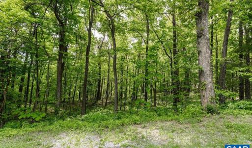 Photo #8 of 7 & 23 WOLFTRAP LN, WINTERGREEN RESORT, VA 0.8 acres