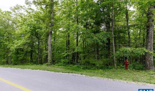Photo #7 of 7 & 23 WOLFTRAP LN, WINTERGREEN RESORT, VA 0.8 acres