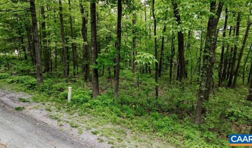 Photo #35 of 7 & 23 WOLFTRAP LN, WINTERGREEN RESORT, VA 0.8 acres