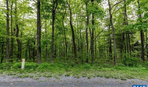 Photo #2 of 7 & 23 WOLFTRAP LN, WINTERGREEN RESORT, VA 0.8 acres