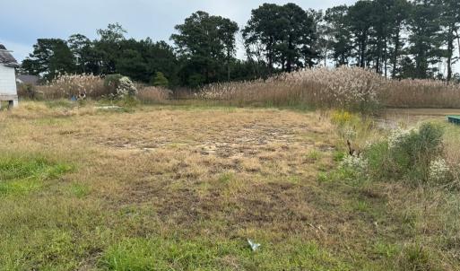Photo #3 of Lot 76 MAIN ST, CHINCOTEAGUE, VA 0.5 acres