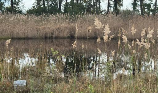 Photo #6 of Lot 76 MAIN ST, CHINCOTEAGUE, VA 0.5 acres