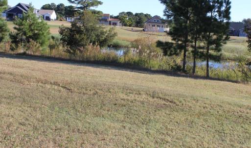 Photo #3 of 165 CAPTAINS CORRIDOR, GREENBACKVILLE, VA 68.0 acres