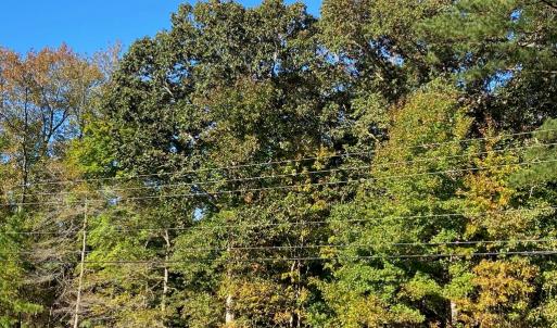 Lankford Hwy Frontage