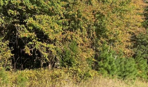 Lankford Hwy Frontage