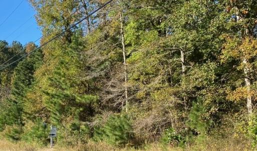 Lankford Hwy Frontage