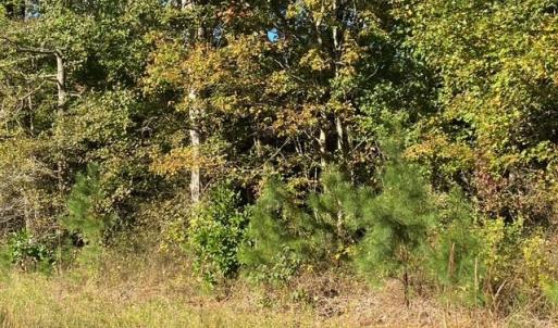 Lankford Hwy Frontage