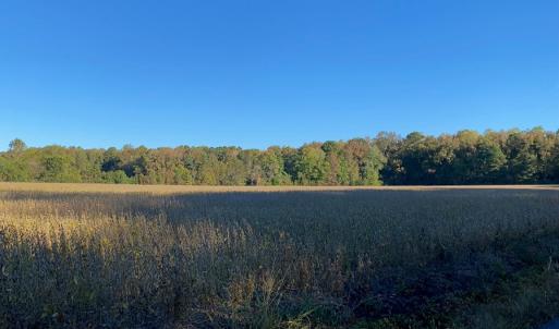 Photo #10 of GOSPEL TEMPLE RD, KELLER, VA 55.0 acres