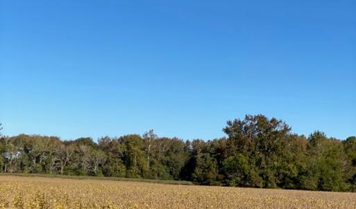 Photo #4 of GOSPEL TEMPLE RD, KELLER, VA 55.0 acres