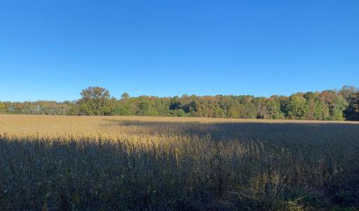 Photo #6 of GOSPEL TEMPLE RD, KELLER, VA 55.0 acres
