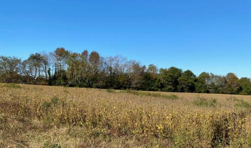 Photo #7 of GOSPEL TEMPLE RD, KELLER, VA 55.0 acres