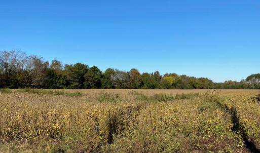 Photo #8 of GOSPEL TEMPLE RD, KELLER, VA 55.0 acres